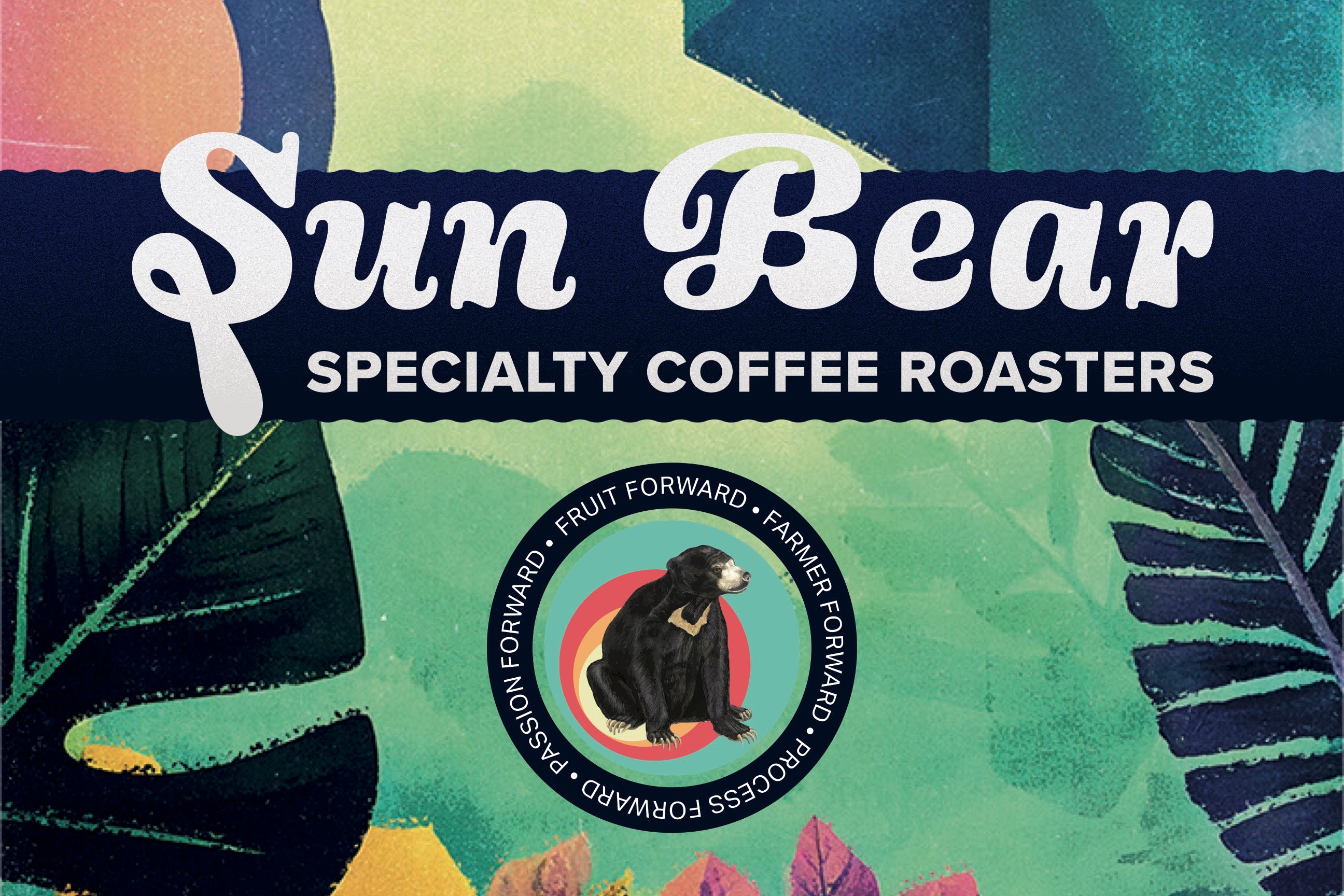 Sun Bear Specialty Coffee Roasters