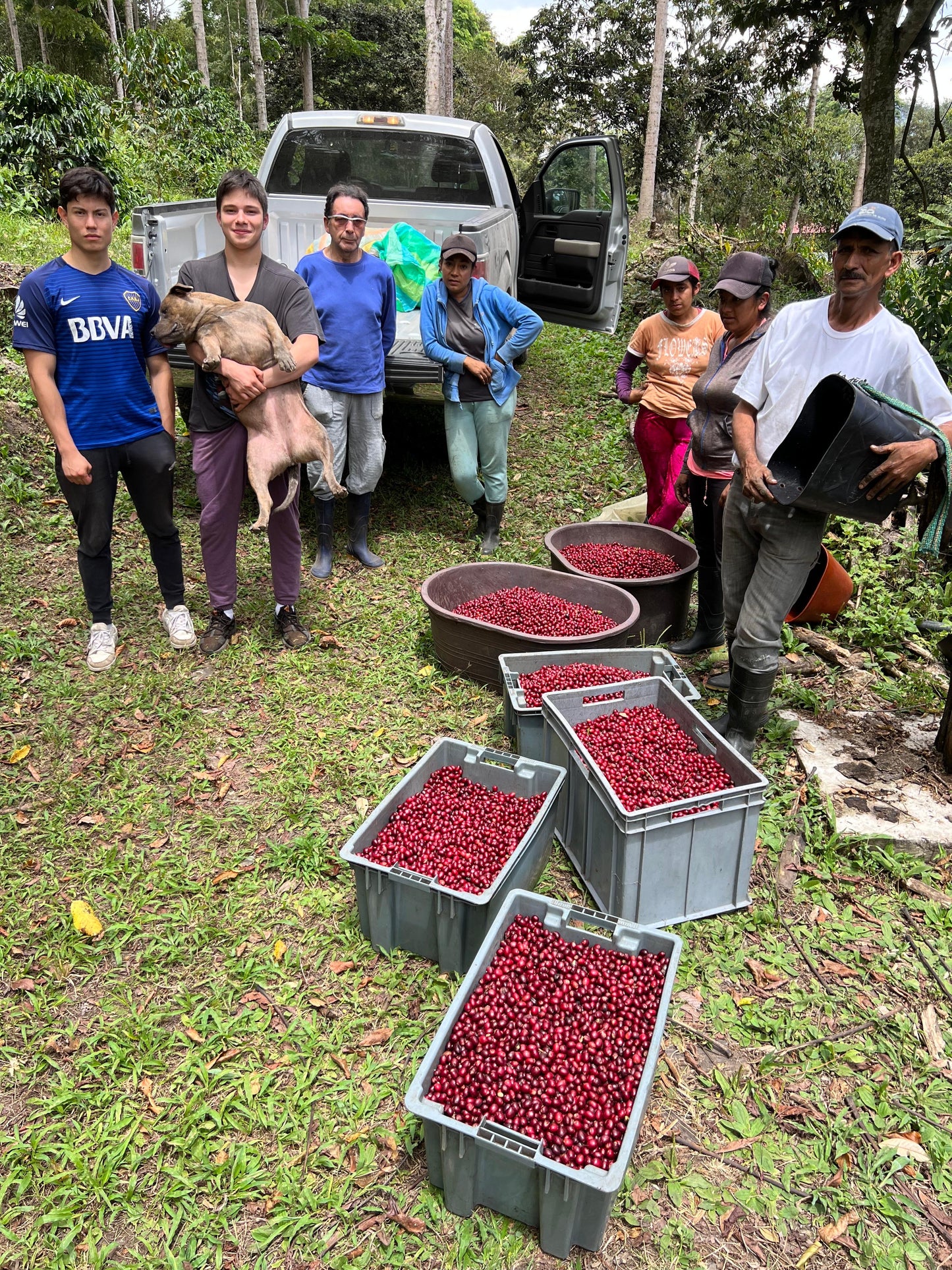 Pre-Order/Pepe Jijon - Typica Wave Fermented Honey 150g