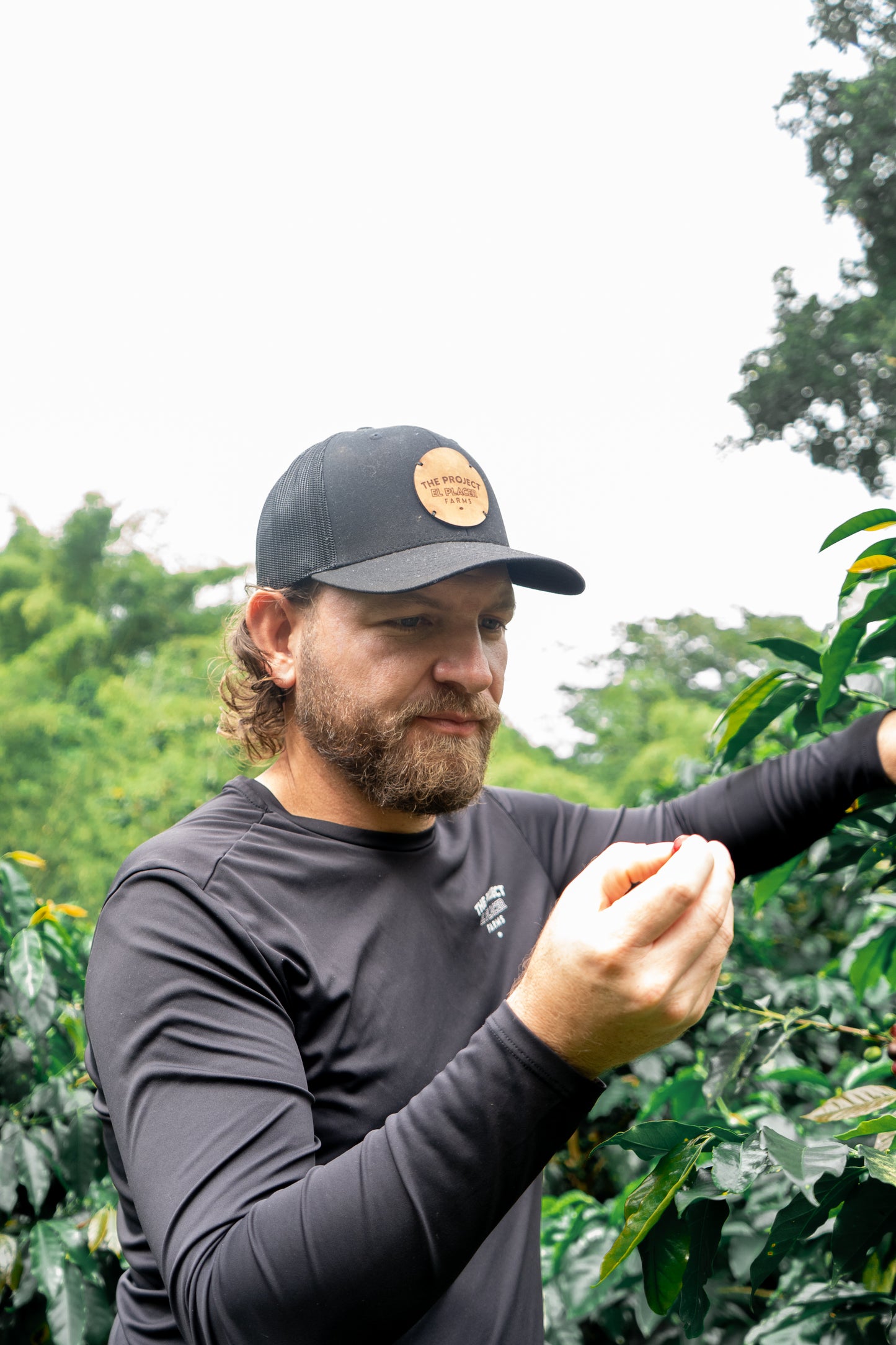 Special Pre-Order: Sebastian Ramirez Peach Co-Ferment